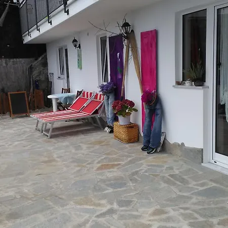 Homestay Camera Asia *