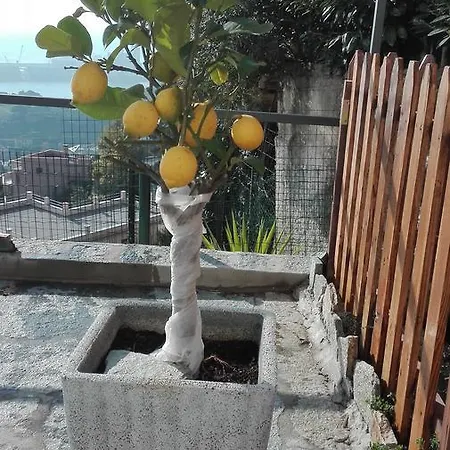 Camera Asia Homestay Albissola Marina