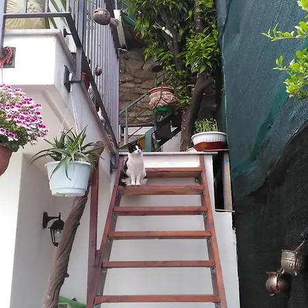 Camera Asia Homestay Albissola Marina